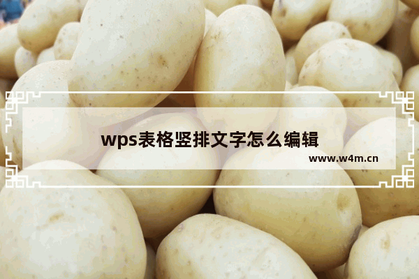 wps表格竖排文字怎么编辑