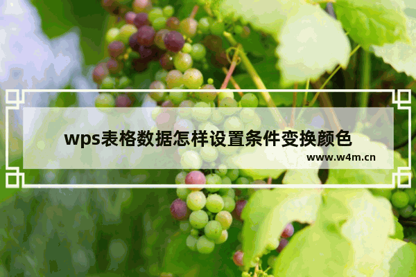 wps表格数据怎样设置条件变换颜色