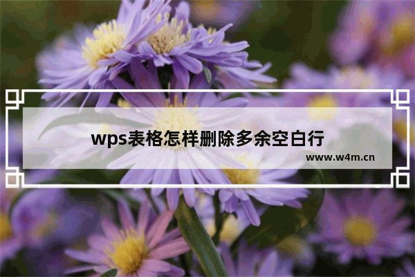 wps表格怎样删除多余空白行