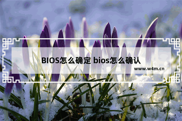 BIOS怎么确定 bios怎么确认