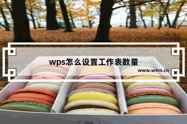 wps怎么设置工作表数量