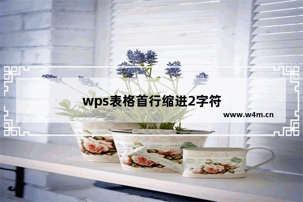 wps表格首行缩进2字符