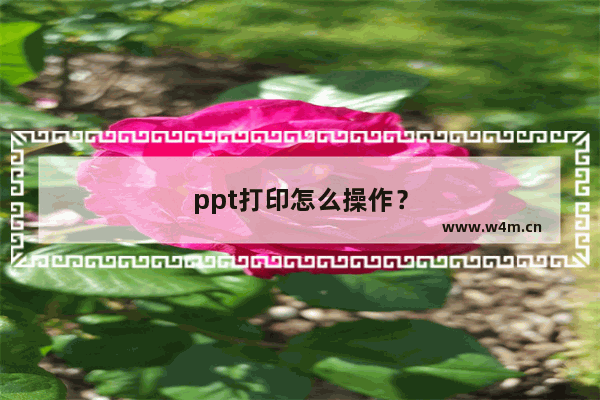 ppt打印怎么操作？