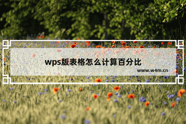 wps版表格怎么计算百分比