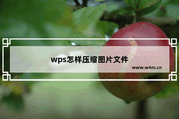 wps怎样压缩图片文件