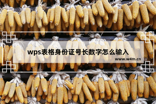 wps表格身份证号长数字怎么输入