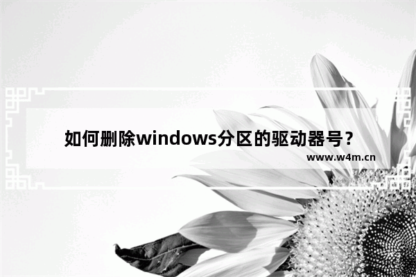 如何删除windows分区的驱动器号？