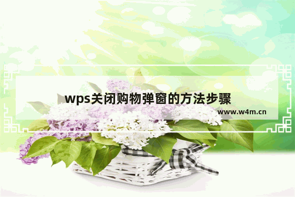 wps关闭购物弹窗的方法步骤