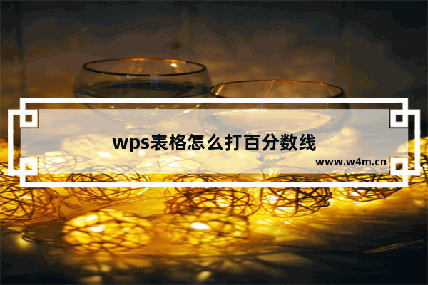 wps表格怎么打百分数线