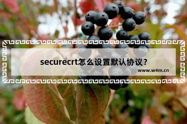 securecrt怎么设置默认协议？