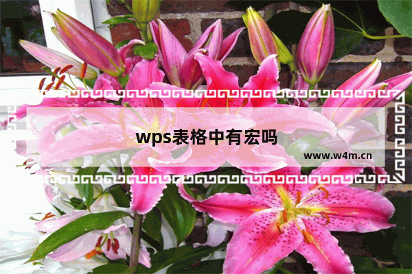 wps表格中有宏吗