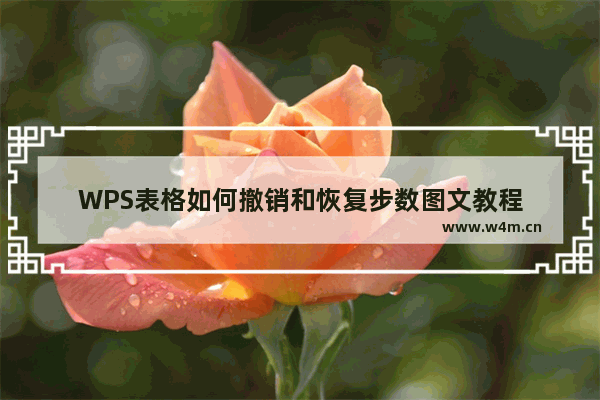 WPS表格如何撤销和恢复步数图文教程