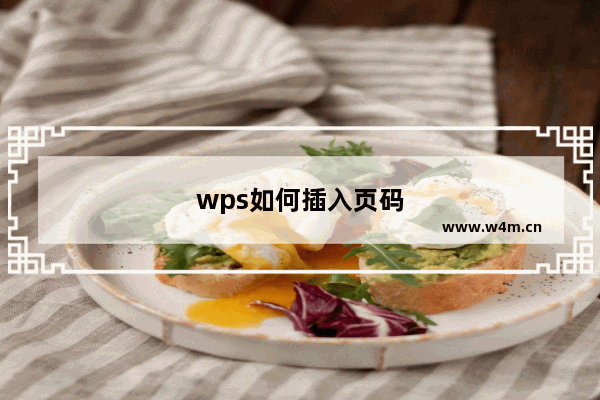 wps如何插入页码