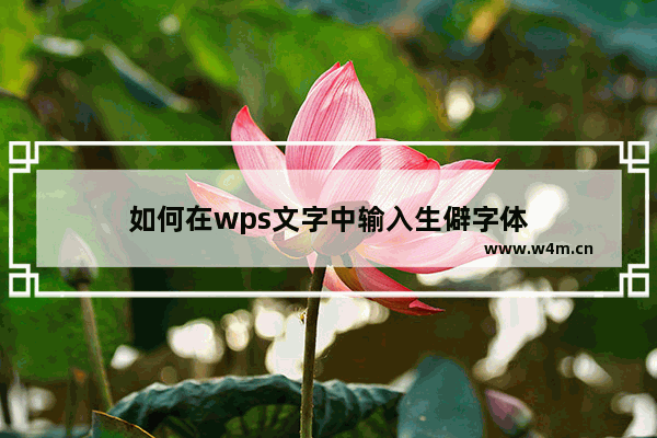 如何在wps文字中输入生僻字体