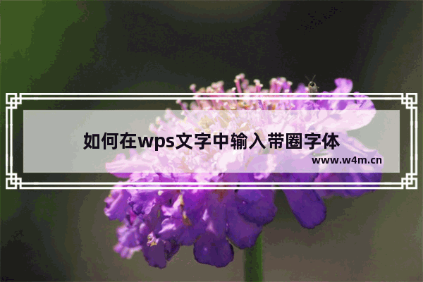 如何在wps文字中输入带圈字体