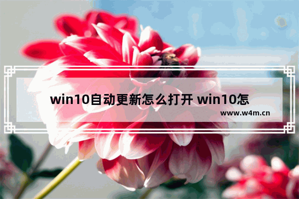 win10自动更新怎么打开 win10怎么打开自动更新选项