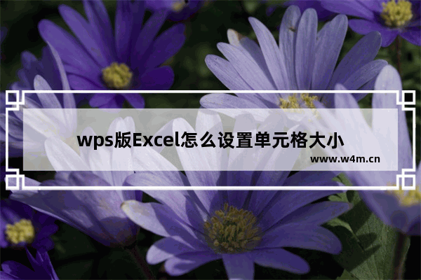 wps版Excel怎么设置单元格大小