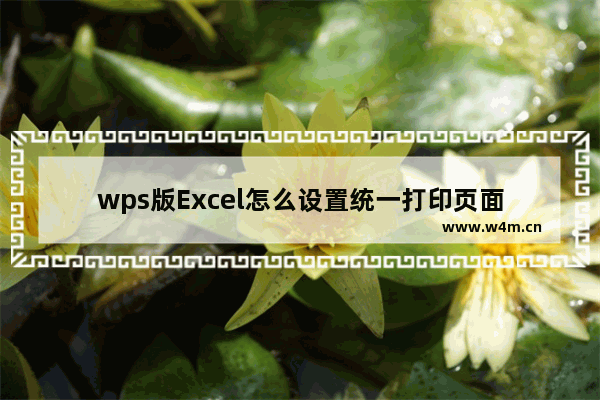 wps版Excel怎么设置统一打印页面