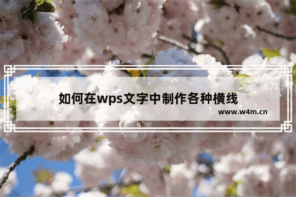 如何在wps文字中制作各种横线