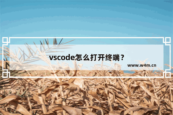 vscode怎么打开终端？