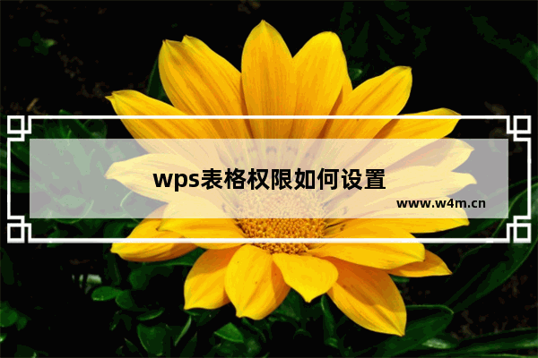 wps表格权限如何设置