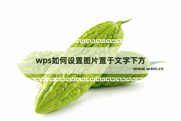 wps如何设置图片置于文字下方