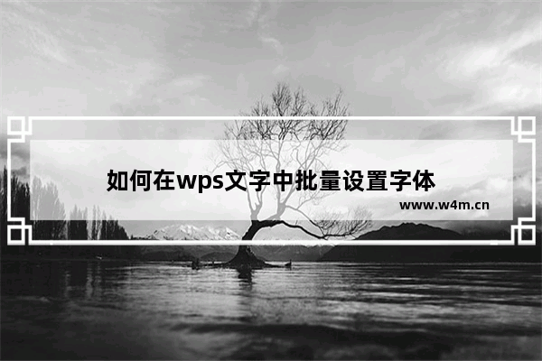 如何在wps文字中批量设置字体