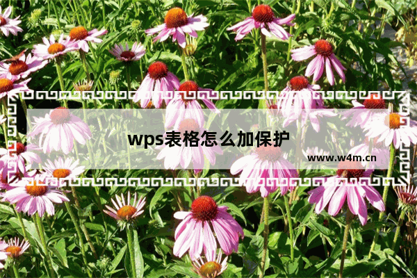 wps表格怎么加保护