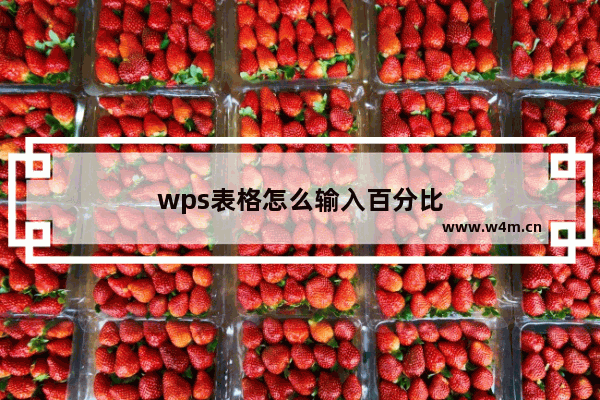 wps表格怎么输入百分比