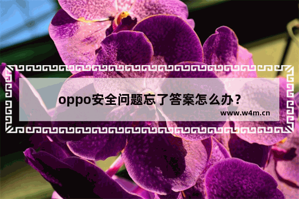 oppo安全问题忘了答案怎么办？