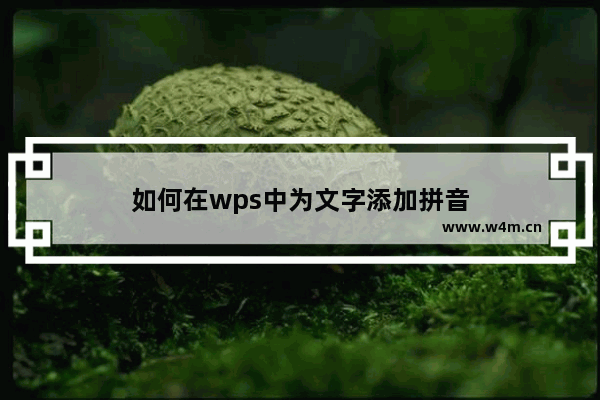 如何在wps中为文字添加拼音