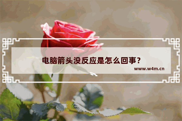 电脑箭头没反应是怎么回事？