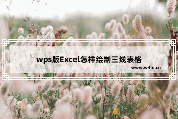 wps版Excel怎样绘制三线表格