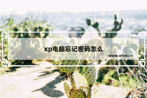 xp电脑忘记密码怎么