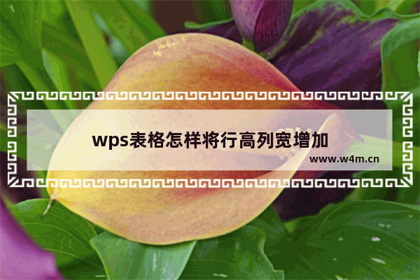 wps表格怎样将行高列宽增加