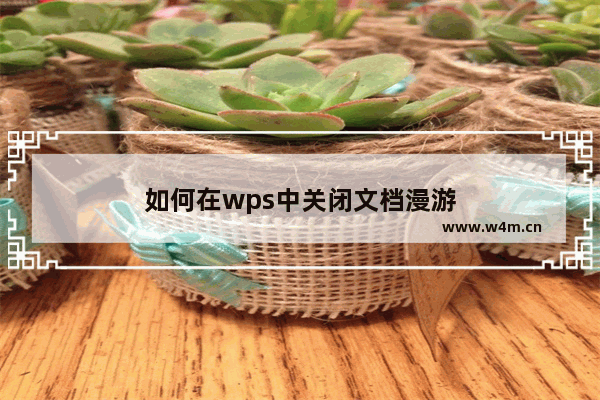 如何在wps中关闭文档漫游