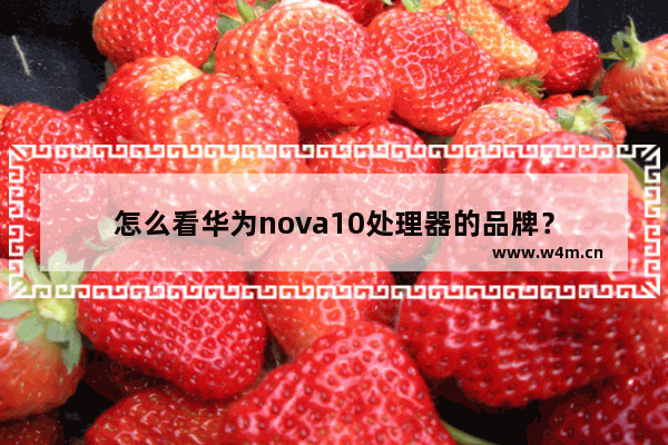 怎么看华为nova10处理器的品牌？