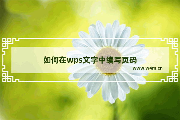 如何在wps文字中编写页码