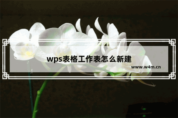 wps表格工作表怎么新建