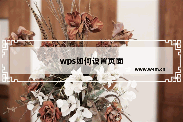 wps如何设置页面