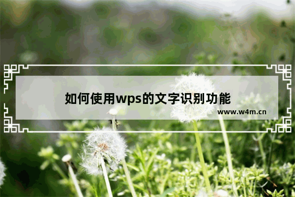 如何使用wps的文字识别功能