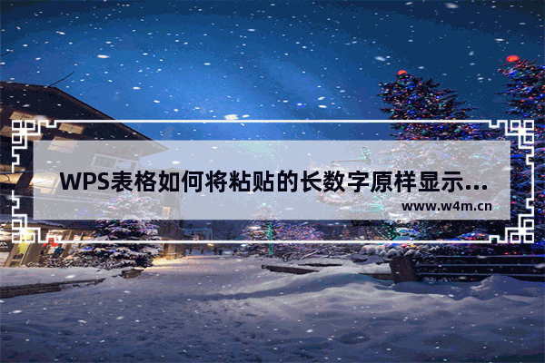 WPS表格如何将粘贴的长数字原样显示不用科学计数法