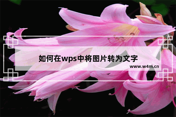 如何在wps中将图片转为文字