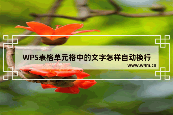 WPS表格单元格中的文字怎样自动换行