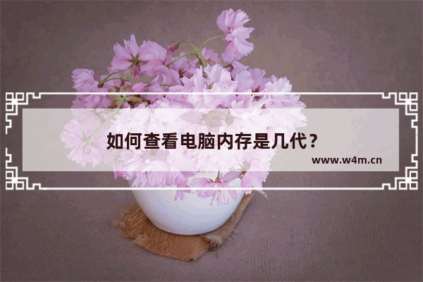 如何查看电脑内存是几代？