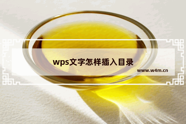 wps文字怎样插入目录