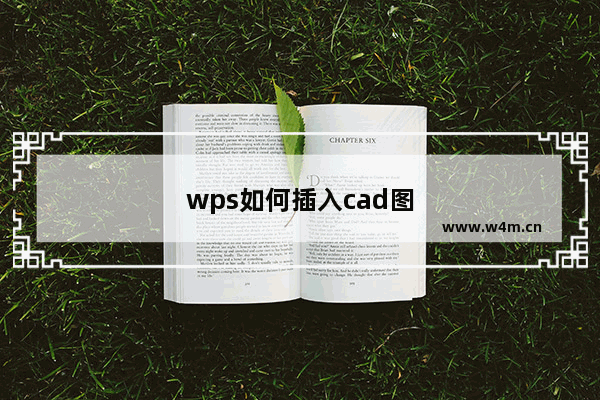 wps如何插入cad图