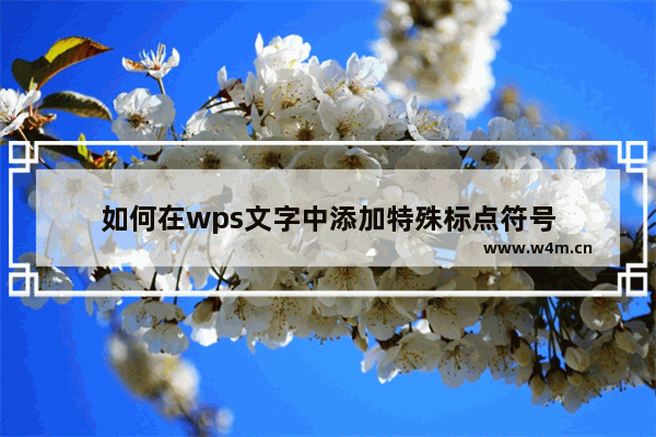 如何在wps文字中添加特殊标点符号