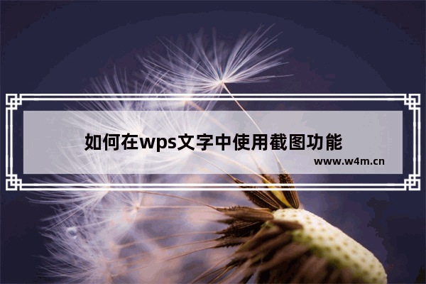 如何在wps文字中使用截图功能