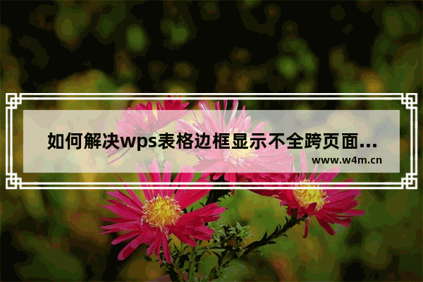 如何解决wps表格边框显示不全跨页面显示